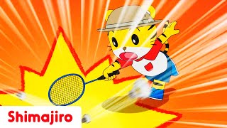 Let's play Badminton 🏸 | Out Door Play Special Compilation | Shimajiro