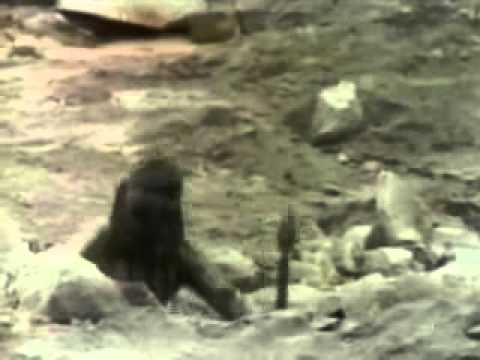 Doctor Who Series Tribute - Season Eight