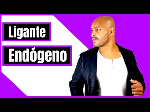 Farmacologia e Você - Receptor farmacológico