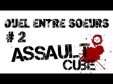 code assaultcube pc