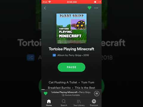 Spotify: Tortoise Playing Minecraft by Parry Gripp