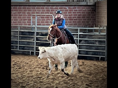 Rinderkurs 21 11 2021