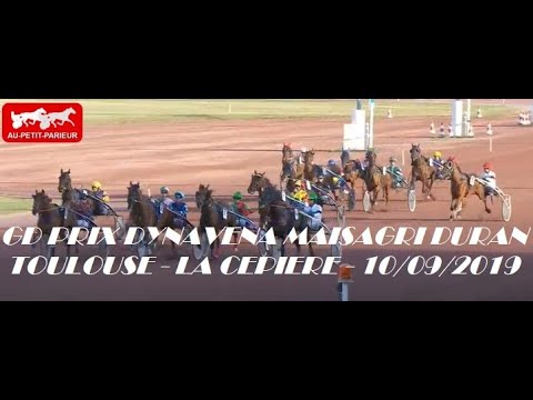 PRONOSTIC QUINTE DU JOUR EN 5 CHEVAUX. GRAND PRIX DYNAVENA MAISAGRI DURAN 10/09/2019