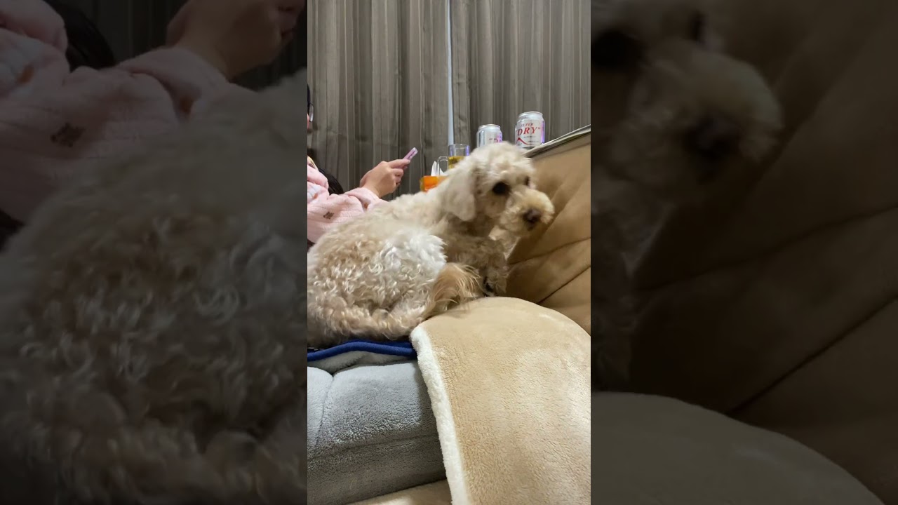 ママはいいけどパパはヤダ