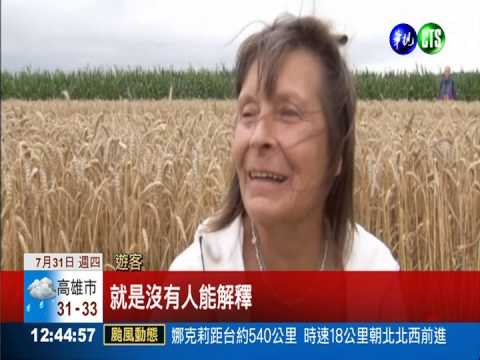 德巴伐利亞州 驚現神秘麥田圈!