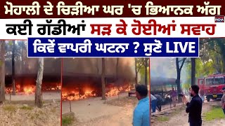 Mohali ਦੇ Zoo 'ਚ ਭਿਆਨਕ ਅੱਗ, ਕਈ ਗੱਡੀਆਂ ਸੜ ਕੇ ਹੋਈਆਂ ਸਵਾਹ, ਕਿਵੇਂ ਵਾਪਰੀ ਘਟਨਾ ? | Fire Incident | Punjab