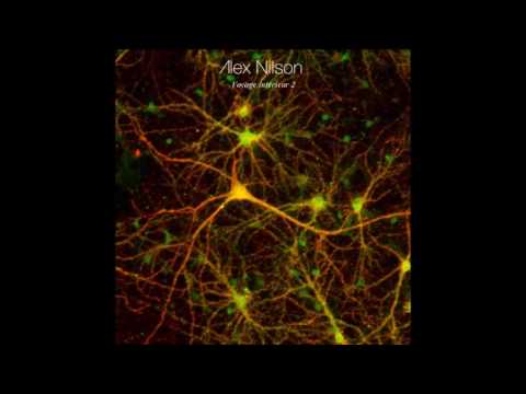 Alex nilson - Voyage interieur P.2 (Techno Podcast)