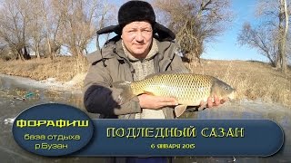 Ловля сазан зимой