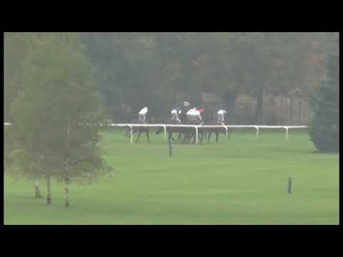 KV, 28. 9. 2017, 5. dostih - Cena Jockey Clubu ČR