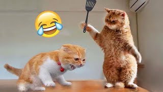 Funniest Cats and Dogs 2024 😹🐶 New Funny Animals Video 😍 Part 10