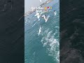 Bet Dwarka Beach ️ Dev Dwarika Vala Song Status Geeta Rabari Status Full Hd Vlog See Boat Boating