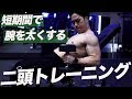 二頭筋トレーニングはこの2種目だけ。短期間で腕が成長したトレーニングをご紹介(解説付き)