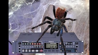 Video thumbnail for Roland VSR- 880 : "Spider's Web" by Hammy Technoid