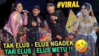 Download lagu ADUH !! CAK PERCIL SUWI GAK PETUK MBAK ELIS SAMPEK ANUNE NGADEK TERUS mp3