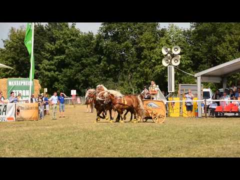 Tarmstedt 2015 Auftritt Luber Teil 2