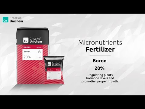 BORON 20% Water Soluble  Fertilizer