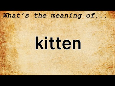 Kitten Meaning | Definition of Kitten