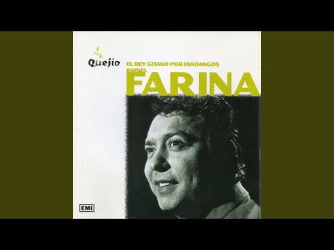 Caballo que tanto quiero (En cualquier raza se encuentra)