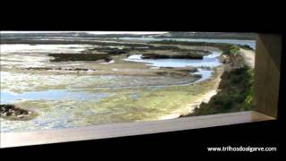 preview picture of video 'Algarve São Lourenço - Trilho / Trail / hiking / trekking / caminhada / passeio'