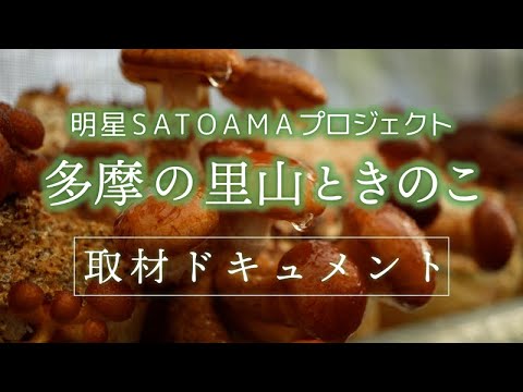 明星SATOYAMAプロジェクト　多摩の里山ときのこ　取材ドキュメント｜明星大学