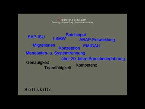 IT Beratung Bräutigam, Migrationen u  ABAP Entwicklung f  SAP IS U