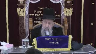 הרב בן ציון מוצפי • בית הכנסת סודאי שידור חי (בית הכנסת מוסאיוף) - התמונה מוצגת ישירות מתוך אתר האינטרנט יוטיוב. זכויות היוצרים בתמונה שייכות ליוצרה. קישור קרדיט למקור התוכן נמצא בתוך דף הסרטון