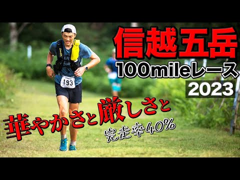 フェアリーライトに関する紛争 サービス