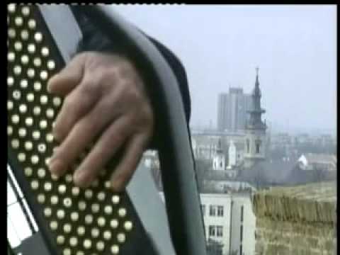 Nenad Ibrahimovic - Nenadov merak na Petrovaradinu