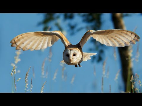 2.5D Effect / Camera Mapping / Camera Projection in Blender - Showreel