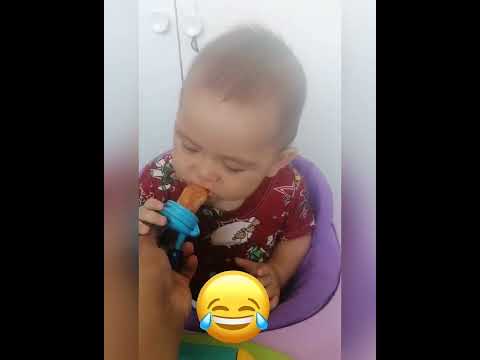 first taste (mandarin) 🍊 | Myrvold Familie