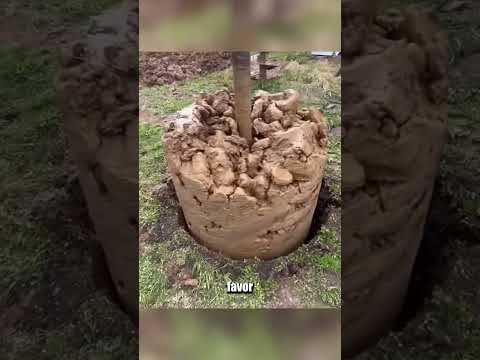 The oldest septic TANK ! 🤢