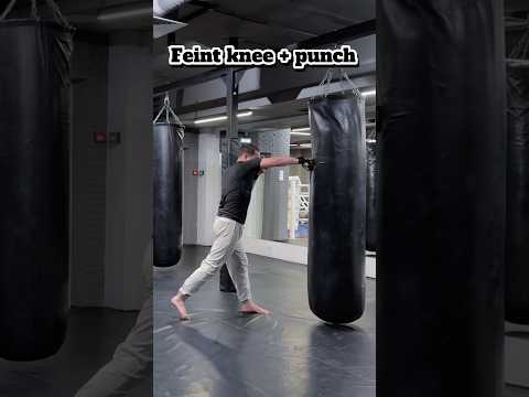 Feint knee + punch #primetime #muaythai #mma #tutorial