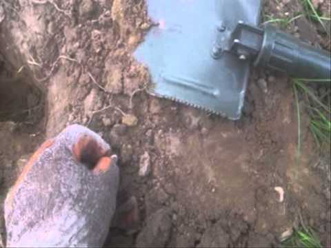 Moje Wykopki (Odc. 79)