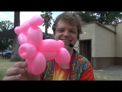 Balloon Pig