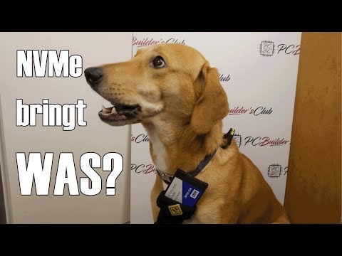NVMe vs. SATA! Lohnen sich teure SSDs überhaupt?