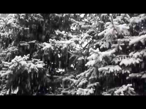 Intenzív havazás /30.01.2015/ Heavy snowfall