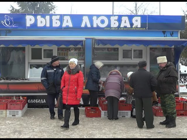 Ловись рыбка большая и маленькая