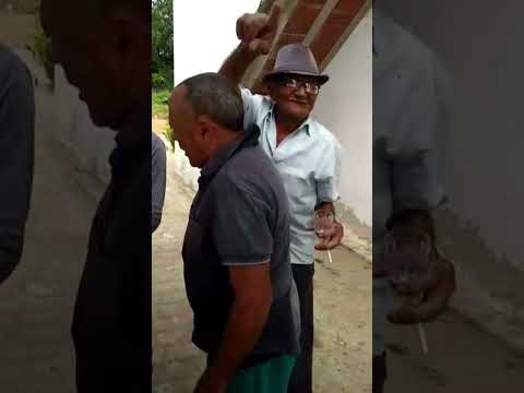 forro em amparo-pb. #viralvideo #shortvideo