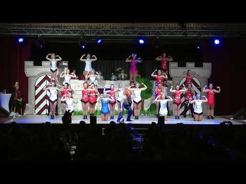 Schlossfinken - Showtanz 2023