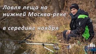 На что клюет лещ в ноябре