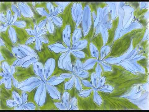 Susan McKeown - "A Phlúirín Mhilis"