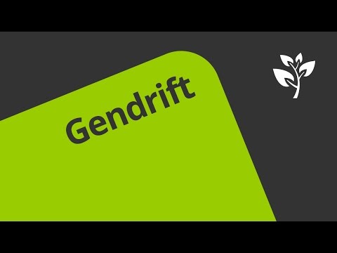 Der Gendrift: eine Einführung | Biologie | Evolution