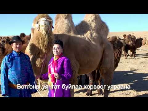 Дуучин МУСТА П.Түдэвдорж-Үлгэрийн зэрэглээт говь