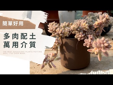 簡單好用的萬用介質