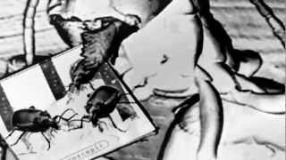 DOWNLOAD ~ Attalal [Remixed By Biosphere]