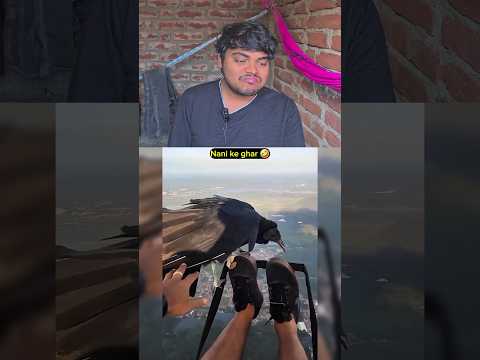 Udta hi firu 🤣 #funnyanimal #funnyanimals #cuteanimals #animals #funny #pets #funnypet #animal