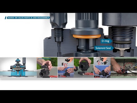 Hands-on valve parts ID and reassembly PGV-101, PGV-151, ICV-201