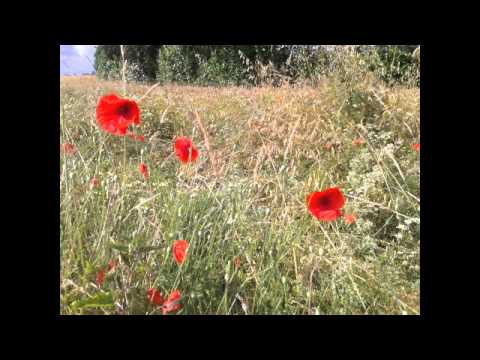 5.  Antonin Dvořák  - Moravian Duets -  Genia Kühmeier/Bernarda Fink/Christoph Berner