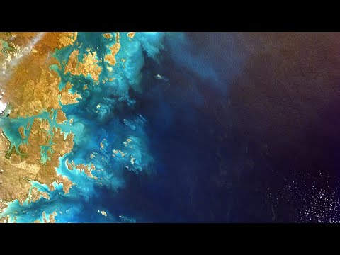 A WEEKLY WAVE OF SANITY:  How to Change the World.