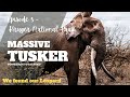 Kruger National Park Ep 5 MASSIVE TUSKER Back To Satara Finale